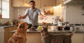 Alimentos comuns que são tóxicos para pets e você provavelmente tem na cozinha