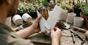 Não jogue fora os jornais usados: com algumas dobras, eles viram pequenos vasos para começar uma horta e reduzir o uso de recipientes plásticos