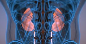 Foto: (iStock/XH4D)