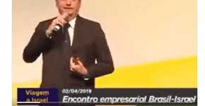 Foto: (Reprodução)