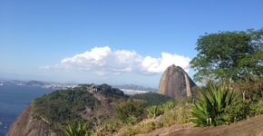 Pratique ecoturismo gratuito no Morro da Babilônia