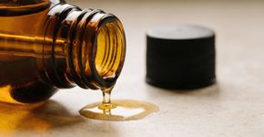 O perigo do óleo de rosa mosqueta que pode envelhecer seu rosto