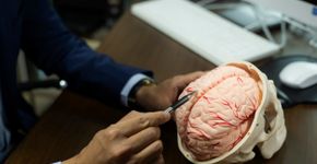 Foto: (DarioGaona/istock)