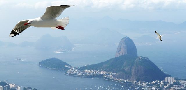 Férias no Rio de Janeiro: gaste pouco e curta muito!