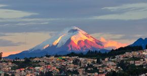 Foto: (Fabricio Burbano/iStock)
