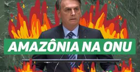 Bolsonaro: Brasil é ‘um dos países que mais protegem o meio ambiente’
