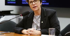 Tereza Cristina é indicada para Ministério da Agricultura