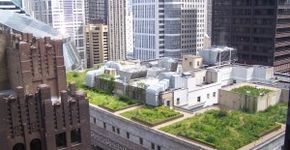 Alternativas verdes, hortas e jardins urbanos surgem nas grandes cidades