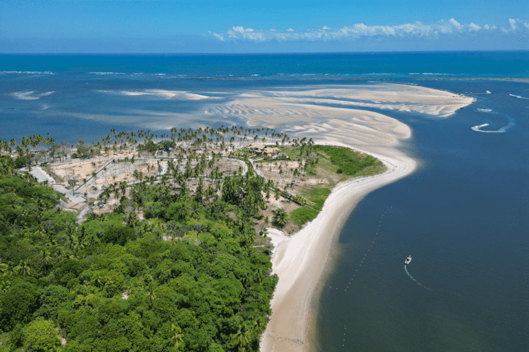 A Praia dos Carneiros tem mar com água calma, morna e cristalina (Imagem: ImagensstockBR | Shutterstock)
