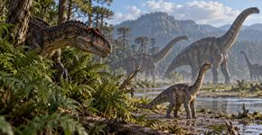 Eles reconstroem o ecossistema do Jurássico e descobrem que os filhotes de dinossauros gigantes eram o alimento preferido de grandes predadores