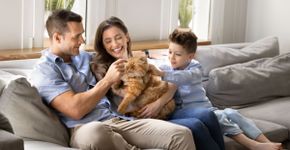 12 nomes perfeitos para gatos carinhosos 