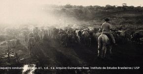 Memória do mundo