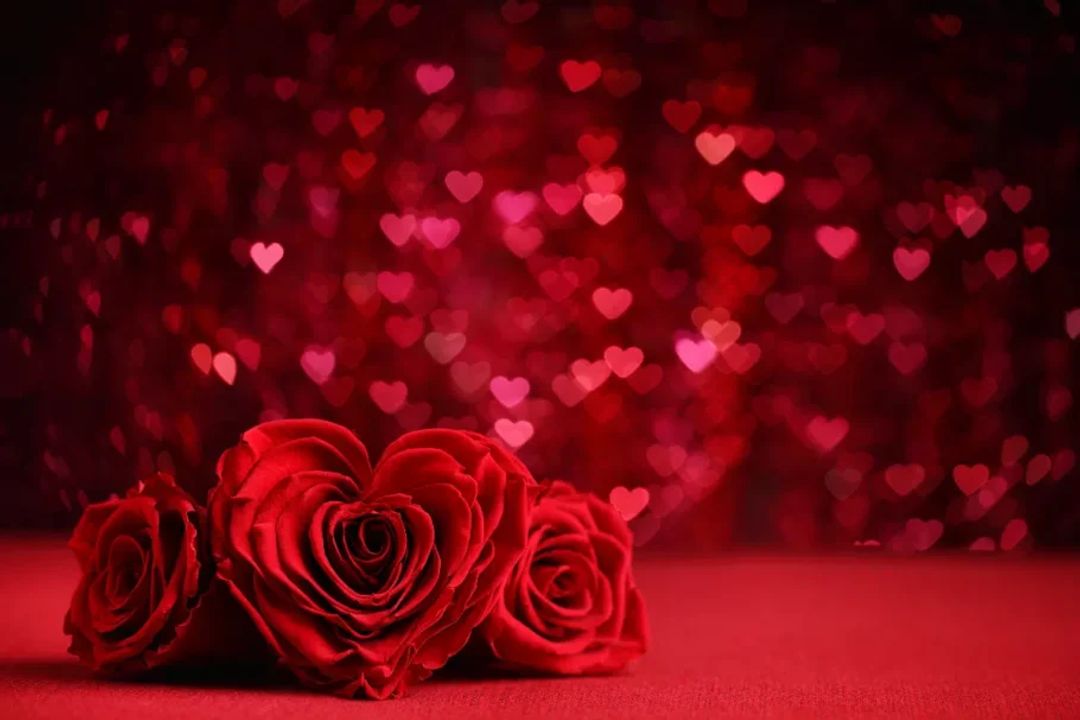 Simpatia com rosa ajudar a deixar mais clara a intenção de viver um relacionamento sério (Imagem: Sofiaworld | Shutterstock)