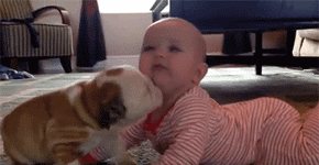 10 GIFs que provam que pets são importantes para crianças