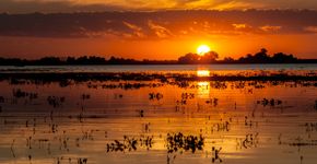 Foto: (AlexanderDavid/iStock)