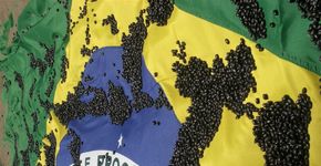 Também morre quem atira: estudo revela que 116 brasileiros morrem todos os dias por arma de fogo