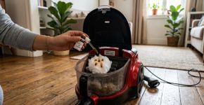 Nas casas mais cheirosas o aspirador não tem cheiro de pó porque usam algodão com essência para perfumar o ambiente