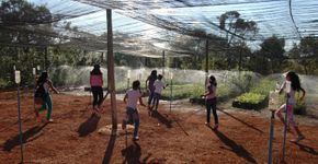 Estudantes do DF participam de projeto para a preservação do Cerrado