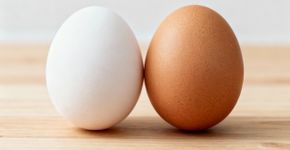 Aprendi isso aos 60: Poucas pessoas sabem a diferença entre ovos brancos e marrons