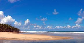Foto: (Istock/DrC_Photography)