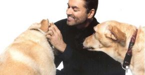 George Michael é lembrado por seu ativismo e amor aos cães