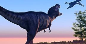 Estude a Era dos Dinossauros pela internet e de graça