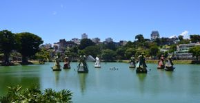 Foto: (Divulgação)