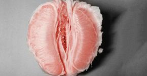 Mais de 100 mil pessoas são ouvidas para descobrir a vagina ideal