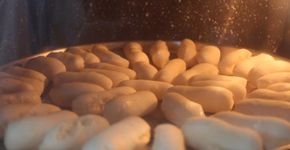 Aprenda a fazer biscoito de polvilho sem leite