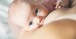 Foto: (NataliaDeriabina/istock)