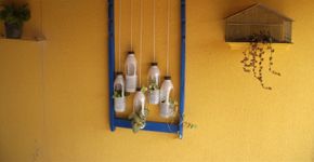 Aprenda a fazer um jardim vertical
