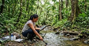 Comunidades Waorani combinaram ciência e saber ancestral para medir a saúde dos rios e identificar 60 espécies de peixes na Amazônia
