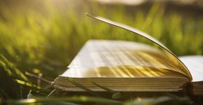 Baixe gratuitamente o livro ‘Madame Bovary’