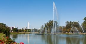Por melhorias, gestão do Ibirapuera será entregue à empresa