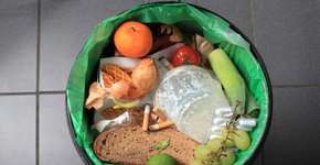 Estudantes criam app que quantifica desperdício de alimentos
