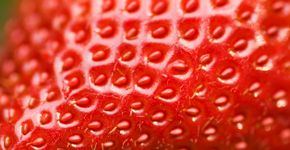Foto: (digihelion/istock)