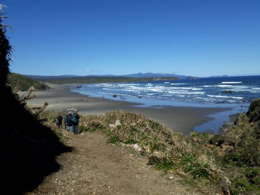 Trilha que leva até a praia selvagem em Chepu