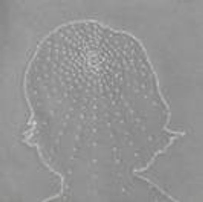 Rosa Grizzo