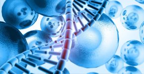 Mercado em alta: medicina regenerativa como protetora da vida ativa e longeva