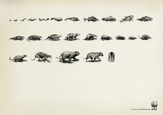 “Evolução” WWF, Ogilvy, China.