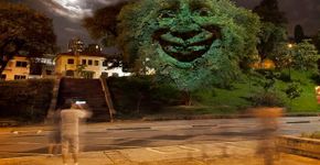 Conheça as árvores de SP que sorriem ou tossem de acordo com poluição