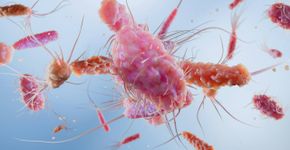 Foto: (Nabil Belhadef/istock)