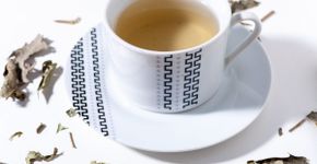 Chá de espinheira-santa: 8 receitas e seus benefícios para a saúde