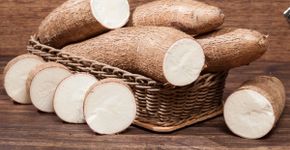 5 benefícios da mandioca para a saúde