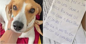 Foto: (Reprodução/Instagram)
