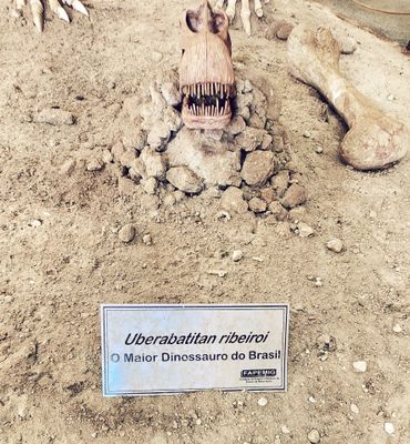  Uberabatitan ribeiroi, o maior dinossauro já descoberto no Brasi