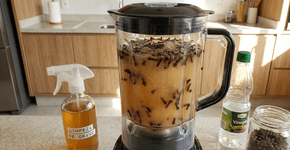 Liquidificar cravo-da-índia e vinagre branco: Uma mistura poderosa que tem uma grande função para os móveis e a limpeza