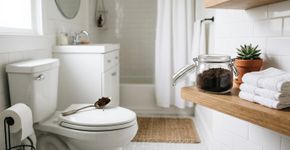 Jogar borra de café usada no vaso sanitário: para que serve e por que é recomendado