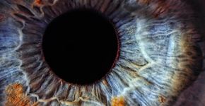 10 maiores curiosidades dos brasileiros sobre ciências