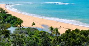 Foto: (ribeirorocha/iStock)